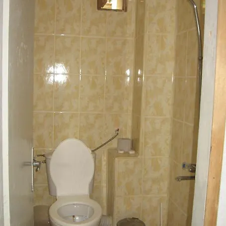Pensionat Vila Tsonevi *