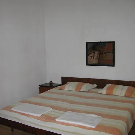 Vila Tsonevi Pensionat *
