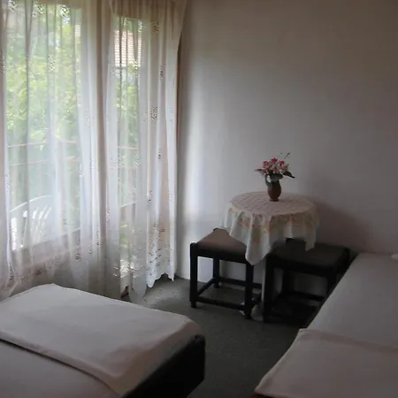 Pensionat Vila Tsonevi *