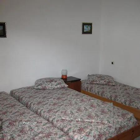 Vila Tsonevi