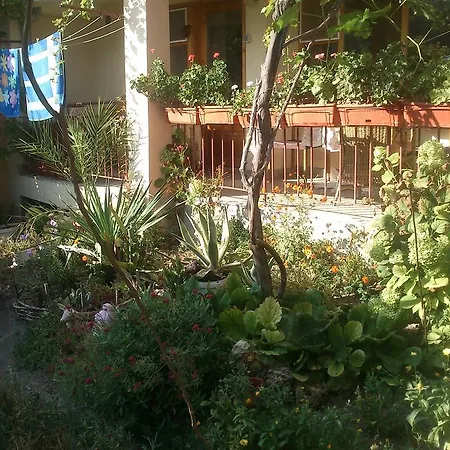 Vila Tsonevi Pensionat *