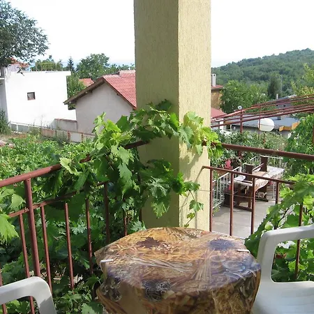 Vila Tsonevi *